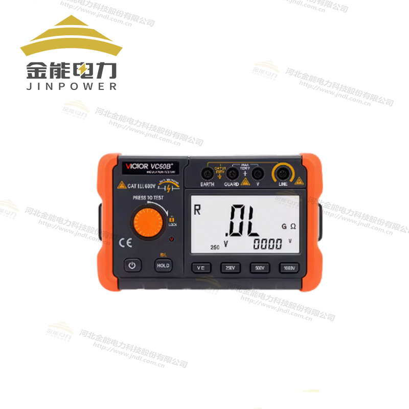勝利絕緣電阻測試儀VC60B+